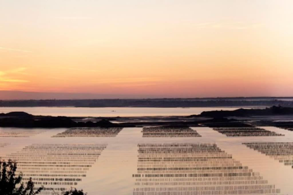 Appartamento 50M De La Plage: Studio Au Coeur Du Centre ! Saint-Cast-le-Guildo Esterno foto